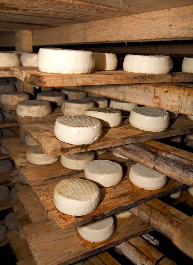 La cave à fromage du Terroir de Marc à Illfurth